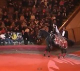 Высшая школа верховой езды Елена Павлович