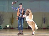 Цирк на сцене. Мини-лошадка Фантик в Новогоднем шоу.