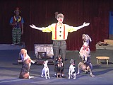 Комическая дрессура собак. Цирковой номер - Дог-шоу