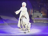 Цирковой номер - Высшая школа верховой езды Ижевск 2017