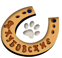 Цирк Якубовские - дрессированные животные, цирк на дом, Circus Yakubovskie Dogs&Horses